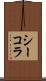 シーコラ Scroll