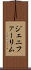 Jennifer Lim Scroll