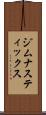 ジムナスティックス Scroll