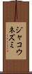 ジャコウネズミ Scroll