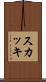 スカッキ Scroll
