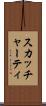 スカッチャーティ Scroll
