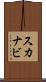スカナビ Scroll