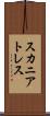 スカニアトレス Scroll