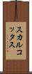 スカルコッタス Scroll
