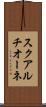 スクアルチオーネ Scroll