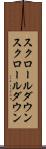 スクロールダウン Scroll
