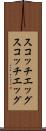 スコッチエッグ Scroll