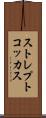 ストレプトコッカス Scroll