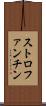 ストロファンチン Scroll