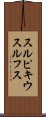 スルピキウスルフス Scroll