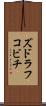 ズドラフコビチ Scroll