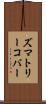 ズマトリーコバー Scroll