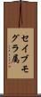 セイブモグラ属 Scroll