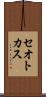 セオトカス Scroll