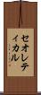 セオレティカル Scroll