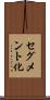 セグメント化 Scroll