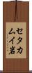 セタカムイ岩 Scroll