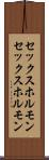 セックスホルモン Scroll
