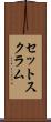 セット・スクラム Scroll
