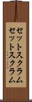 セットスクラム Scroll
