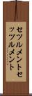 セツルメント Scroll