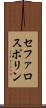 セファロスポリン Scroll