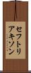 セフトリアキソン Scroll