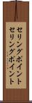 セリングポイント Scroll