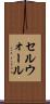 セルウォール Scroll