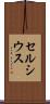セルシウス Scroll
