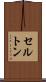 セルトン Scroll
