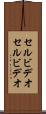 セルビデオ Scroll