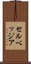セルベッジア Scroll