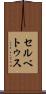 セルベトゥス Scroll