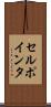 セルポインタ Scroll