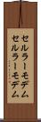 セルラーモデム Scroll