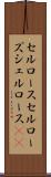 セルロース Scroll