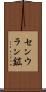 センウラン鉱 Scroll