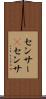 センサー(P) Scroll