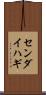 センダイハギ Scroll