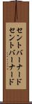セントバーナード Scroll