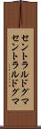 セントラルドグマ Scroll