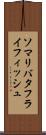 ソマリバタフライフィッシュ Scroll