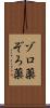 ゾロ薬 Scroll