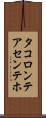 タコロンテアセンテホ Scroll