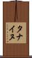タナイヌ Scroll