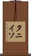 タニイソ Scroll