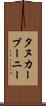 タヌカーブーニー Scroll