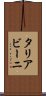 タリアビーニ Scroll